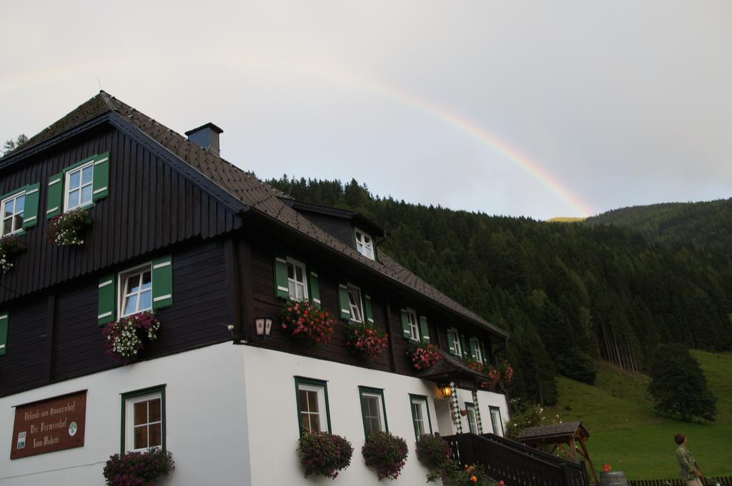 Der Perweinhof Apartment Donnersbachwald Exterior foto
