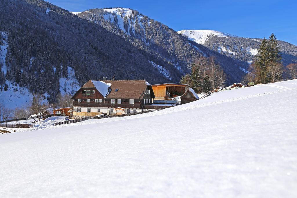 Der Perweinhof Apartment Donnersbachwald Exterior foto