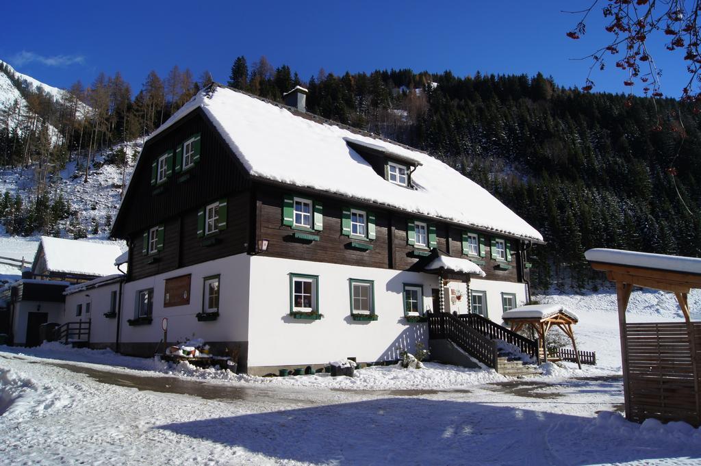 Der Perweinhof Apartment Donnersbachwald Exterior foto