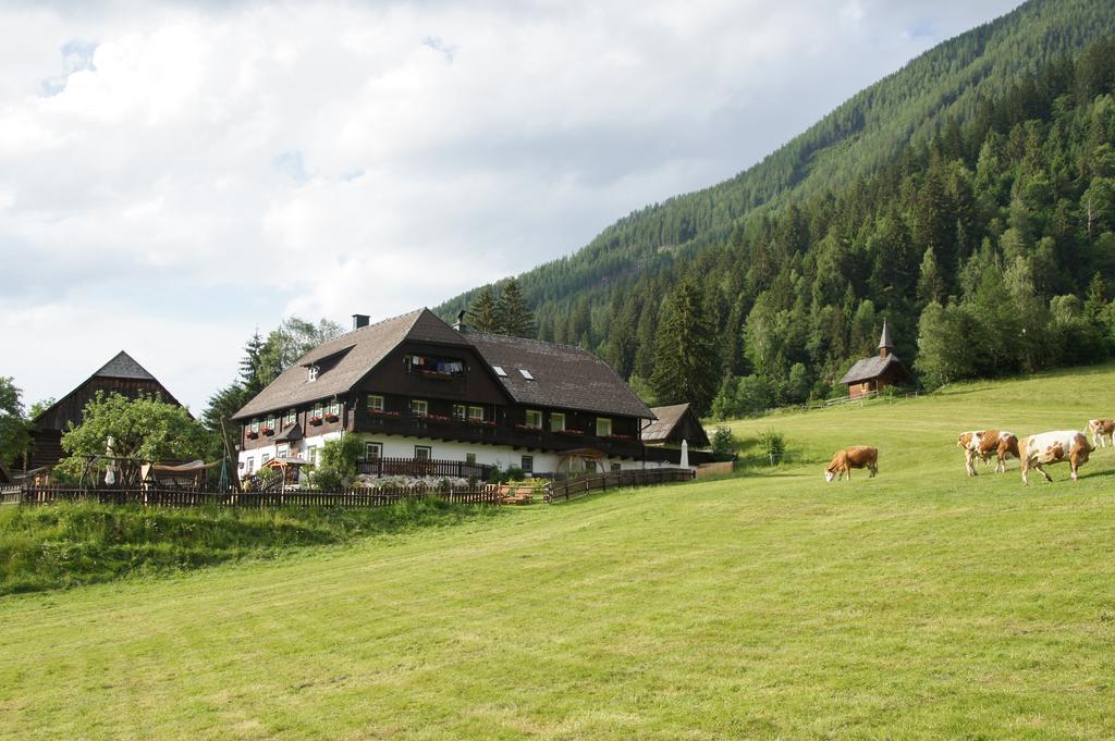 Der Perweinhof Apartment Donnersbachwald Exterior foto